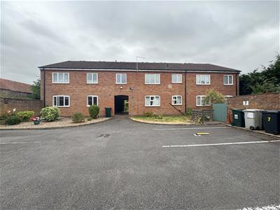 Picture 23